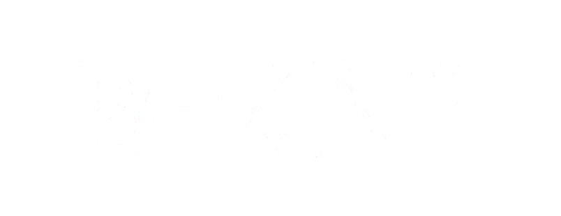 Bekny Partners & Facilitators PLC